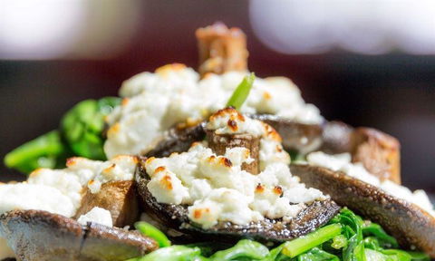 Bohemian Bungalow - Accommodation Cooktown 6