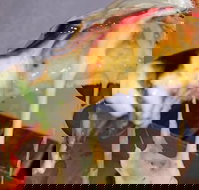 A Taste Of Africa Maleny - Accommodation Cooktown