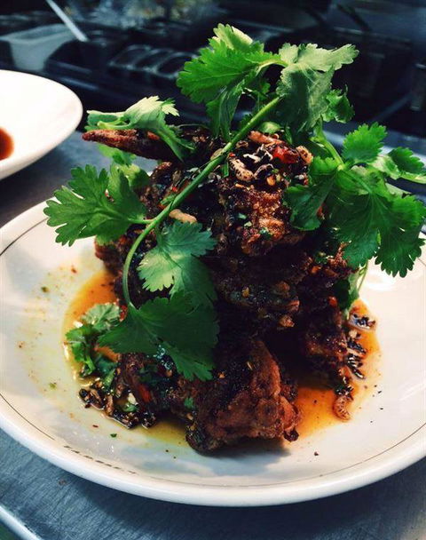 Apple Daily Bar & Eating House - Accommodation Cooktown 13