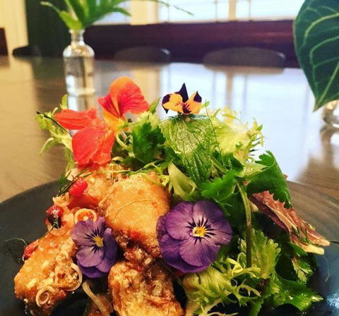 Apple Daily Bar & Eating House - Accommodation Cooktown 3