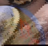 Mount Isa Irish Club