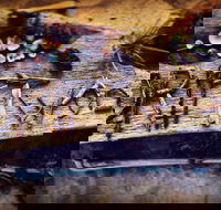 Driftwood Cafe - Accommodation Cooktown