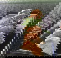 Three Black Sheep Cafe