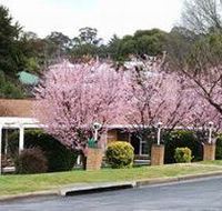 White Lanterns Motel - Accommodation Cooktown