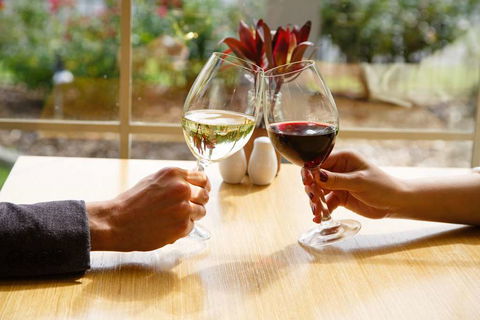 Best Western Plus Hovell Tree Inn - Accommodation Cooktown 9