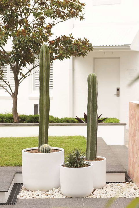 Adina Apartment Hotel Chippendale - Accommodation Cooktown 0