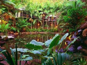 Daintree Eco Lodge & Spa - Accommodation Cooktown 0