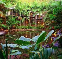 Daintree Eco Lodge  Spa - Accommodation Cooktown