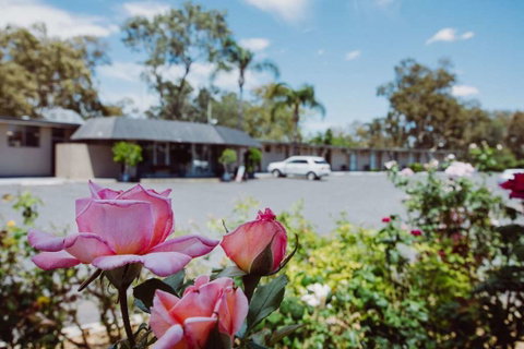 Artesian Spa Motor Inn - Accommodation Cooktown 2