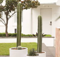 Adina Apartment Hotel Chippendale - Accommodation Cooktown