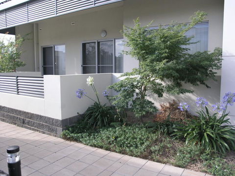 Kesh At Aamira - Accommodation Cooktown 16