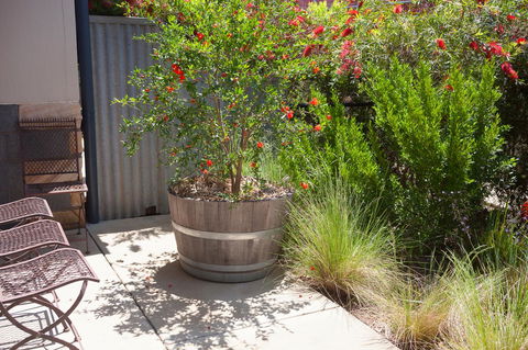 One Of A Kind Apartments - Accommodation Cooktown 15