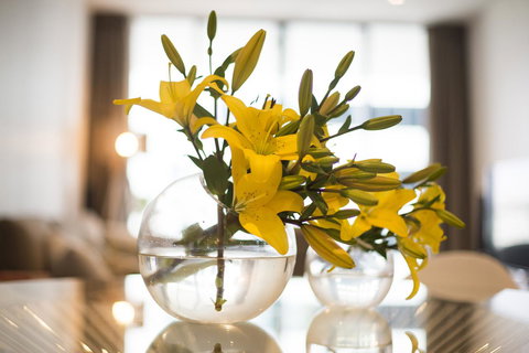 KUI - Manhattan Apartments - Accommodation Cooktown 0