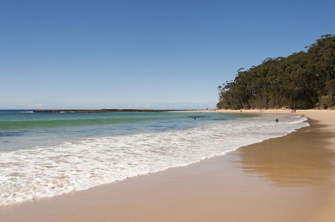 Mollymook Beachfront Penthouse 9 - Accommodation Cooktown 0