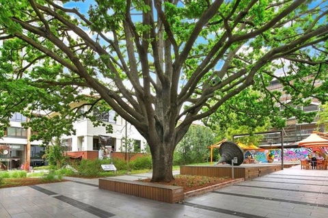 Canberra Luxury Apartment 3 - Accommodation Cooktown 29
