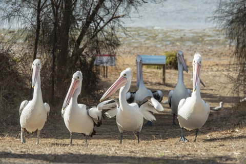 Mercure Kangaroo Island Lodge - Accommodation Cooktown 15