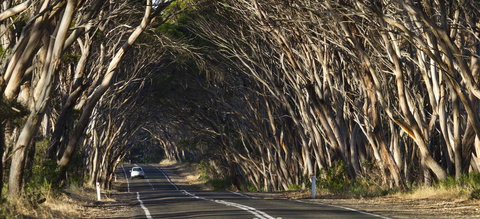 Mercure Kangaroo Island Lodge - Accommodation Cooktown 40