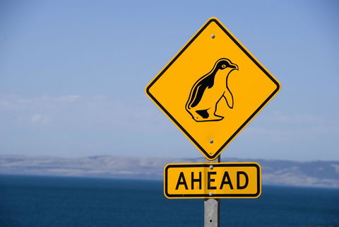 Kangaroo Island Seafront - Accommodation Cooktown 43