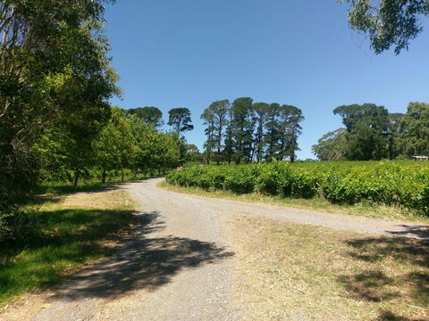 Lost In The Vines - Accommodation Cooktown 28