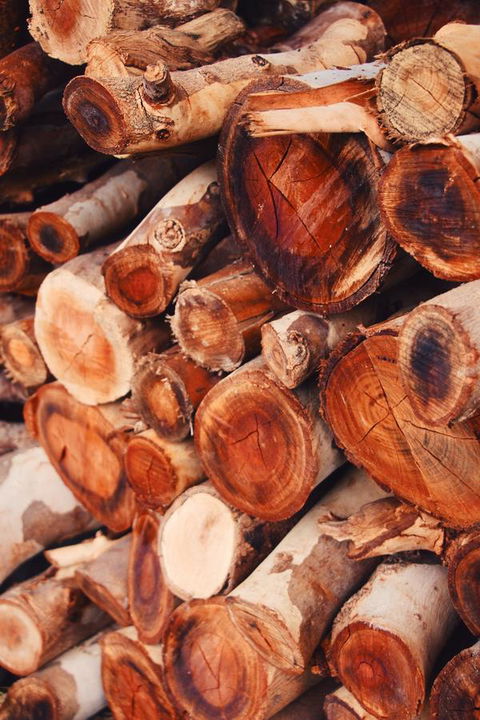 Lost In The Vines - Accommodation Cooktown 20