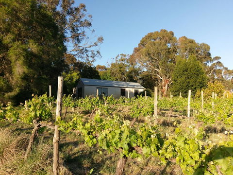 Lost In The Vines - Accommodation Cooktown 25
