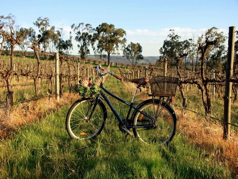 Lost In The Vines - Accommodation Cooktown 17