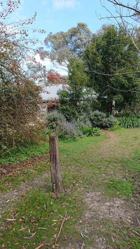 Lost In The Vines - Accommodation Cooktown 21