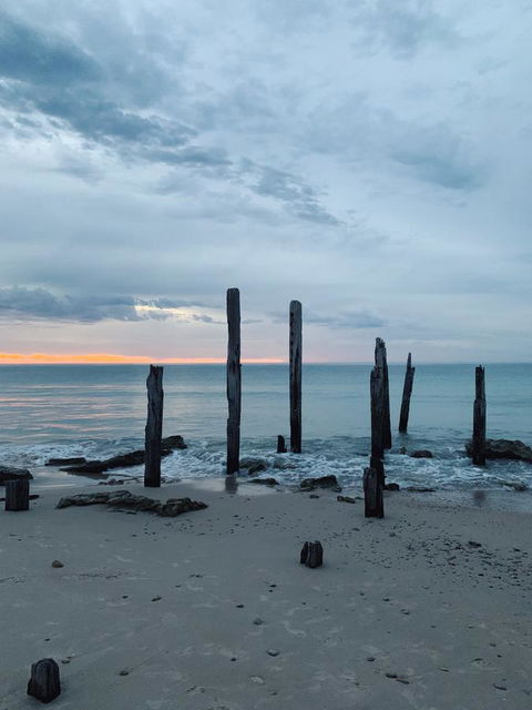 Lost In The Vines - Accommodation Cooktown 18