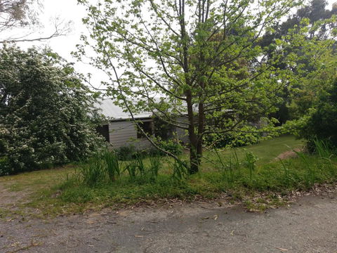 Lost In The Vines - Accommodation Cooktown 24