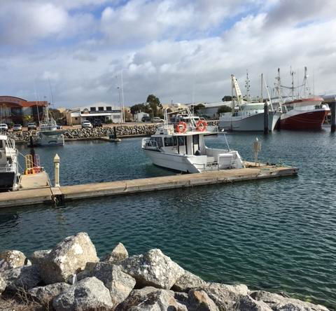 Port Lincoln Shark Apartment 1 - Accommodation Cooktown 14