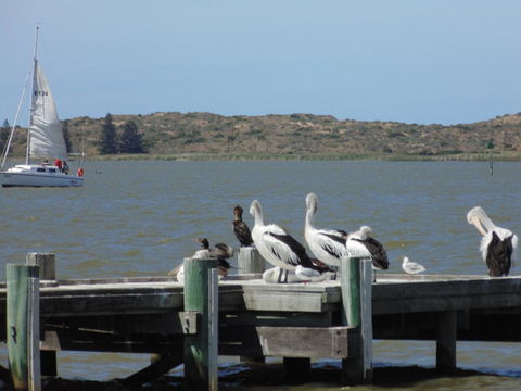 Baronet B & B - Accommodation Cooktown 20