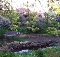 Frog Song at Willunga - Accommodation Cooktown