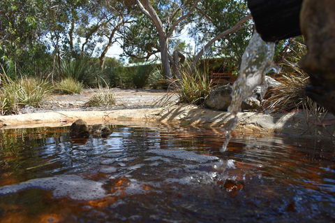 Kangaroo Island Wilderness Retreat - Accommodation Cooktown 25
