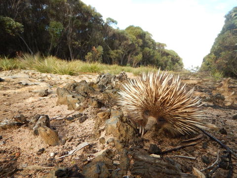 Kangaroo Island Wilderness Retreat - Accommodation Cooktown 20