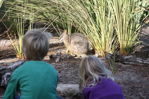 Kangaroo Island Wilderness Retreat - Accommodation Cooktown 30