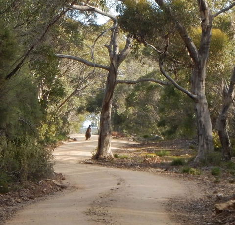 Kangaroo Island Wilderness Retreat - Accommodation Cooktown 22