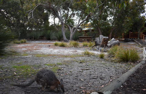 Kangaroo Island Wilderness Retreat - Accommodation Cooktown 1