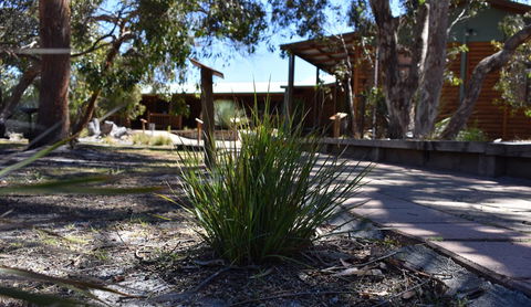 Kangaroo Island Wilderness Retreat - Accommodation Cooktown 21