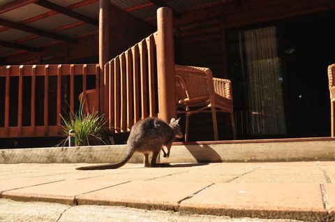 Kangaroo Island Wilderness Retreat - Accommodation Cooktown 9