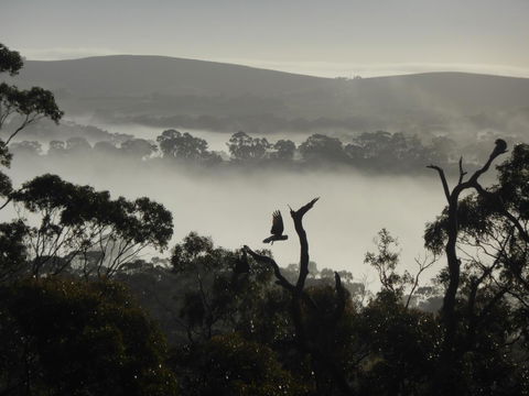 Molly's Chase - Accommodation Cooktown 28