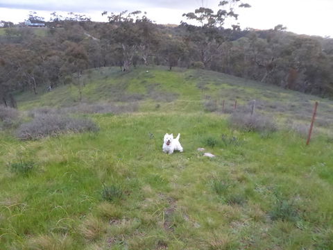 Molly's Chase - Accommodation Cooktown 22