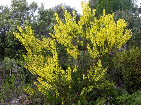 Kestrel Downs - Accommodation Cooktown 26