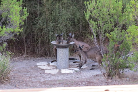Kestrel Downs - Accommodation Cooktown 23
