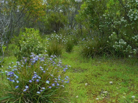 Kestrel Downs - Accommodation Cooktown 32