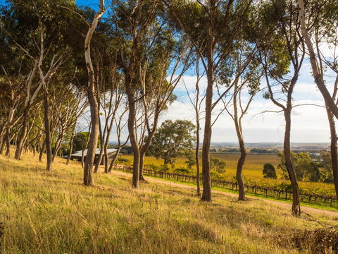 Shadow Creek McLaren Vale - Accommodation Cooktown 5