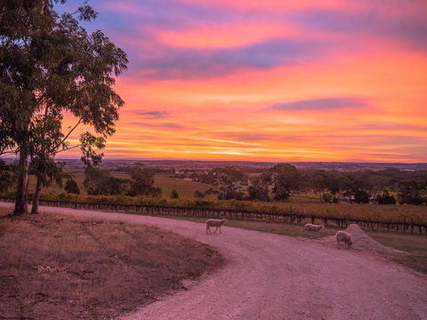 Shadow Creek McLaren Vale - Accommodation Cooktown 24