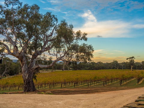 Shadow Creek McLaren Vale - Accommodation Cooktown 23