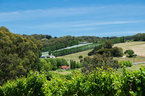 The Other House - Accommodation Cooktown 3