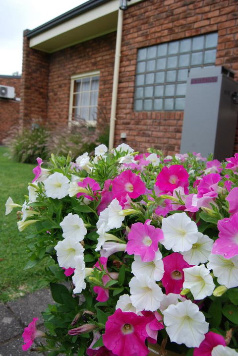 Arkana Motor Inn & Terrace Apartments - Accommodation Cooktown 40
