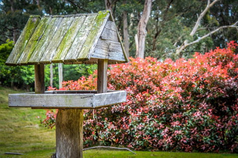 Ghost Hill Road Retreat - Accommodation Cooktown 17